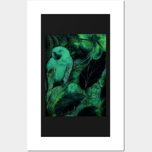 GREEN PARROT MACAW TROPICAL DECO POSTER ART PRINT EXOTIC DRAWING Posters and Art